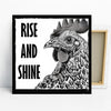 Rooster Art
