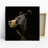 Bear Art