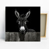 Donkey Art