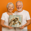 Turtle Art - View 3