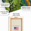Parrot Art - View 4