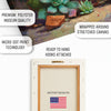 Succulent Pot Art - View 4