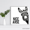 Donkey Art - View 5