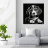 Border Collie Puppy Art - View 5