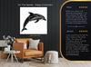 Dolphin Art - View 8